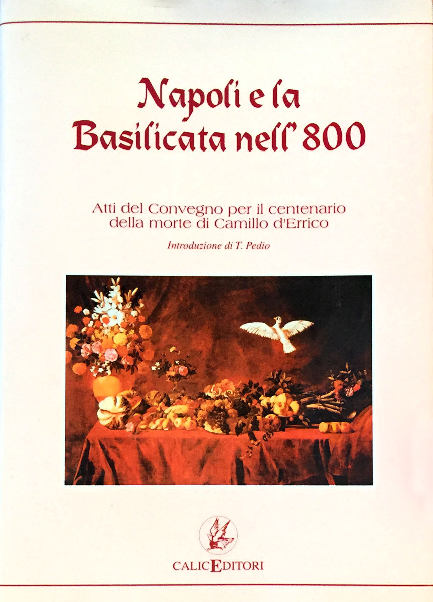 Read more about the article Napoli e la Basilicata nell’Ottocento